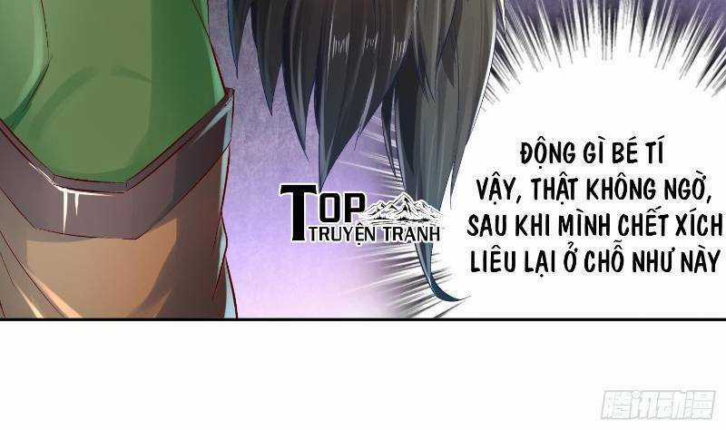 Trọng Sinh Chi Ma Tôn Đương Đạo Chapter 19 trang 5