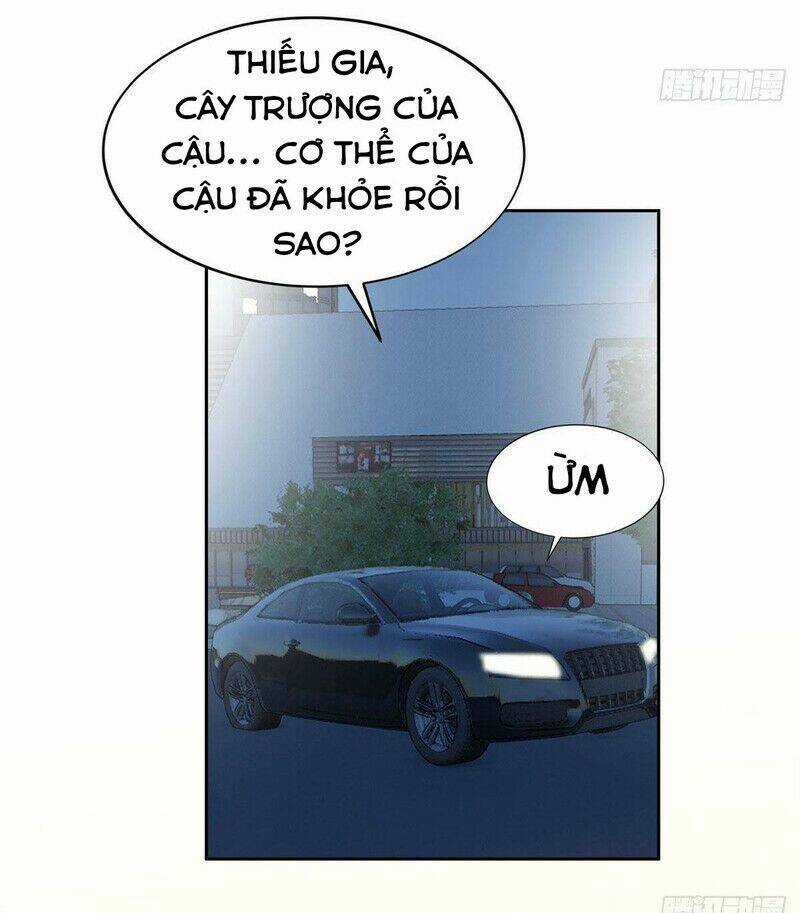 Trọng Sinh Chi Thần Cấp Bại Gia Tử Chapter 23 trang 10