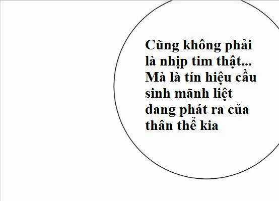 Trọng Sinh Để Ngủ Với Ảnh Đế Chapter 202 trang 24