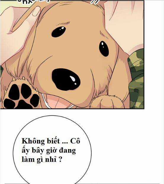 Trọng Sinh Để Ngủ Với Ảnh Đế Chapter 202 trang 35