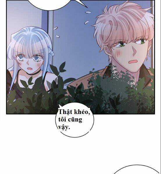 Trọng Sinh Để Ngủ Với Ảnh Đế Chapter 208 trang 37