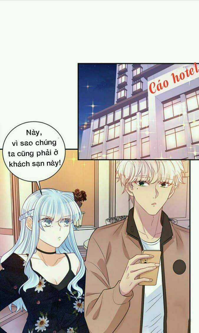 Trọng Sinh Để Ngủ Với Ảnh Đế Chapter 209 trang 10