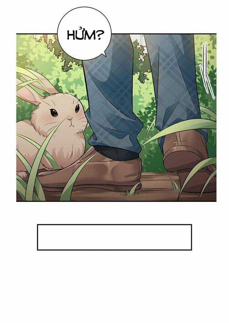 Trọng Sinh Để Ngủ Với Ảnh Đế Chapter 212 trang 20