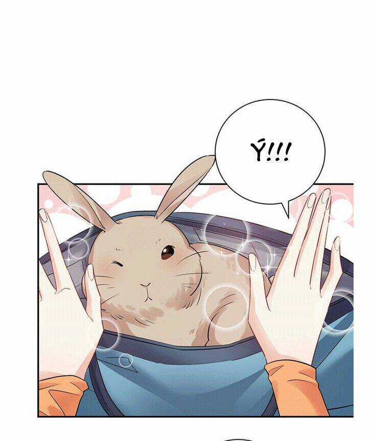 Trọng Sinh Để Ngủ Với Ảnh Đế Chapter 212 trang 29