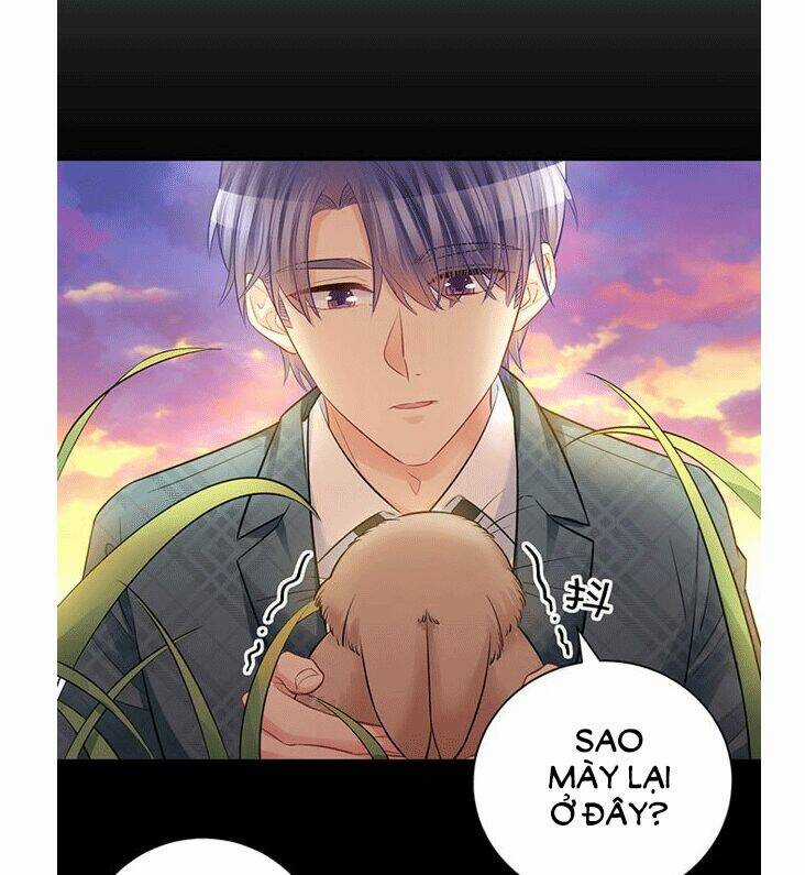 Trọng Sinh Để Ngủ Với Ảnh Đế Chapter 212 trang 36