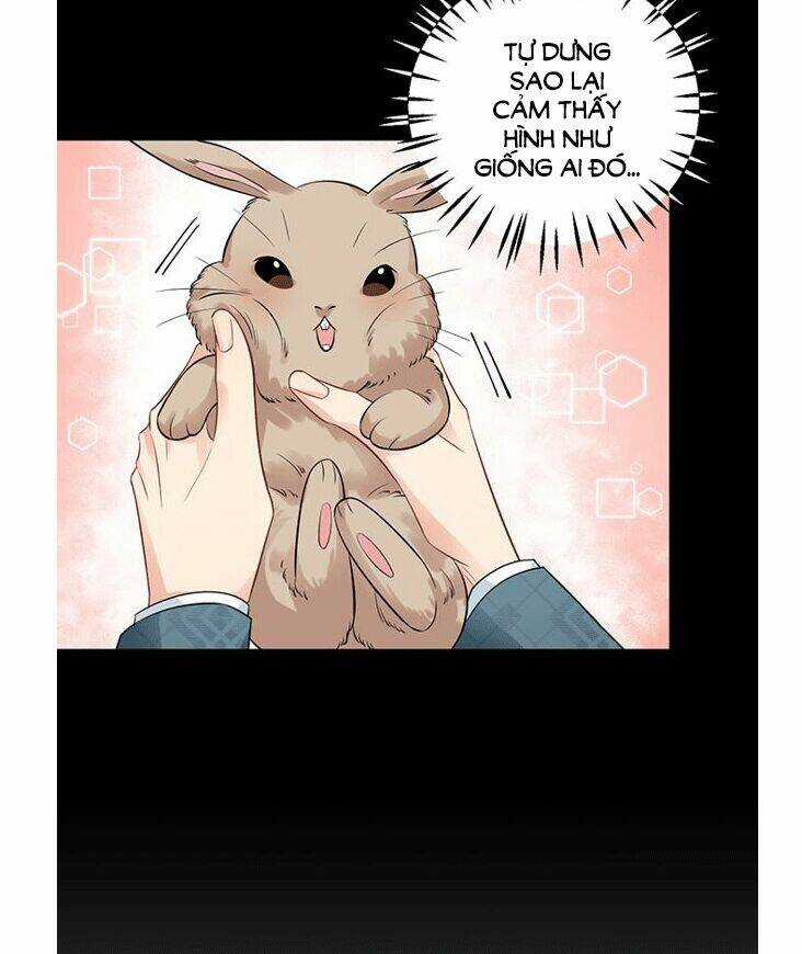 Trọng Sinh Để Ngủ Với Ảnh Đế Chapter 212 trang 38