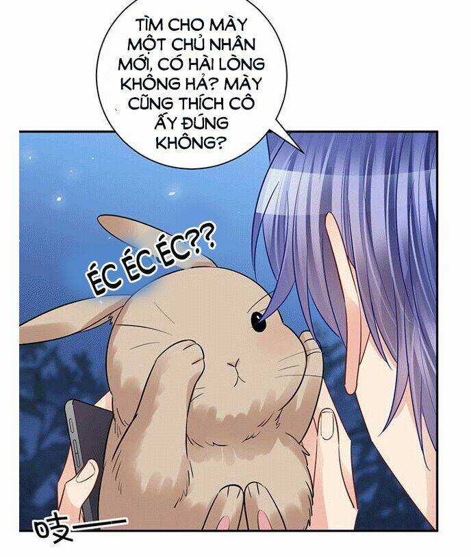 Trọng Sinh Để Ngủ Với Ảnh Đế Chapter 213 trang 17