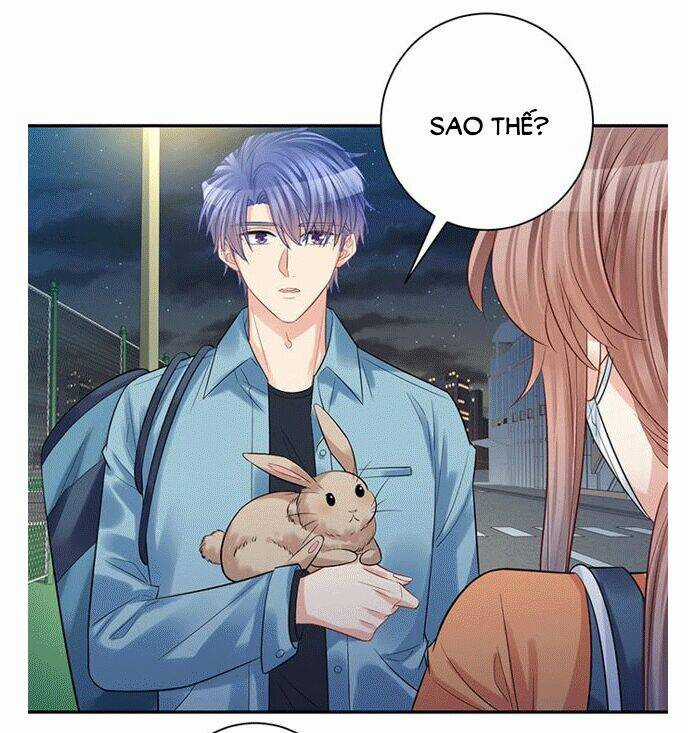 Trọng Sinh Để Ngủ Với Ảnh Đế Chapter 213 trang 31