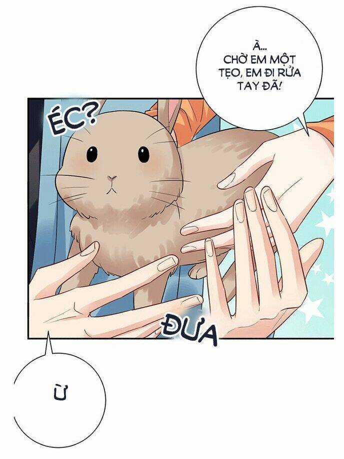 Trọng Sinh Để Ngủ Với Ảnh Đế Chapter 213 trang 5