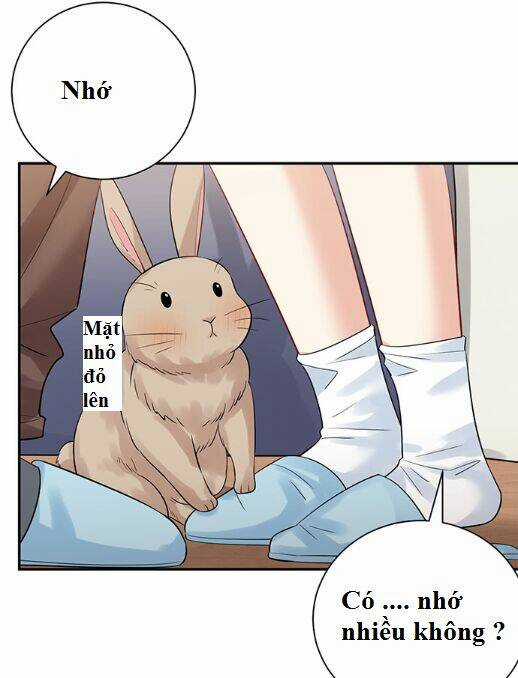 Trọng Sinh Để Ngủ Với Ảnh Đế Chapter 214 trang 26