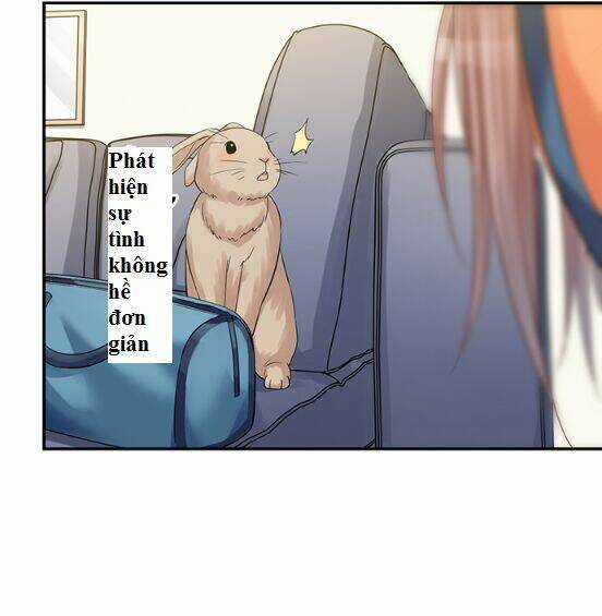 Trọng Sinh Để Ngủ Với Ảnh Đế Chapter 214 trang 35