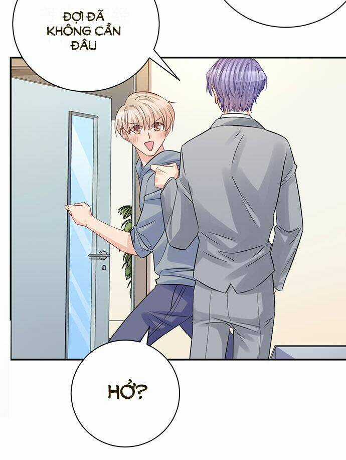 Trọng Sinh Để Ngủ Với Ảnh Đế Chapter 217 trang 20