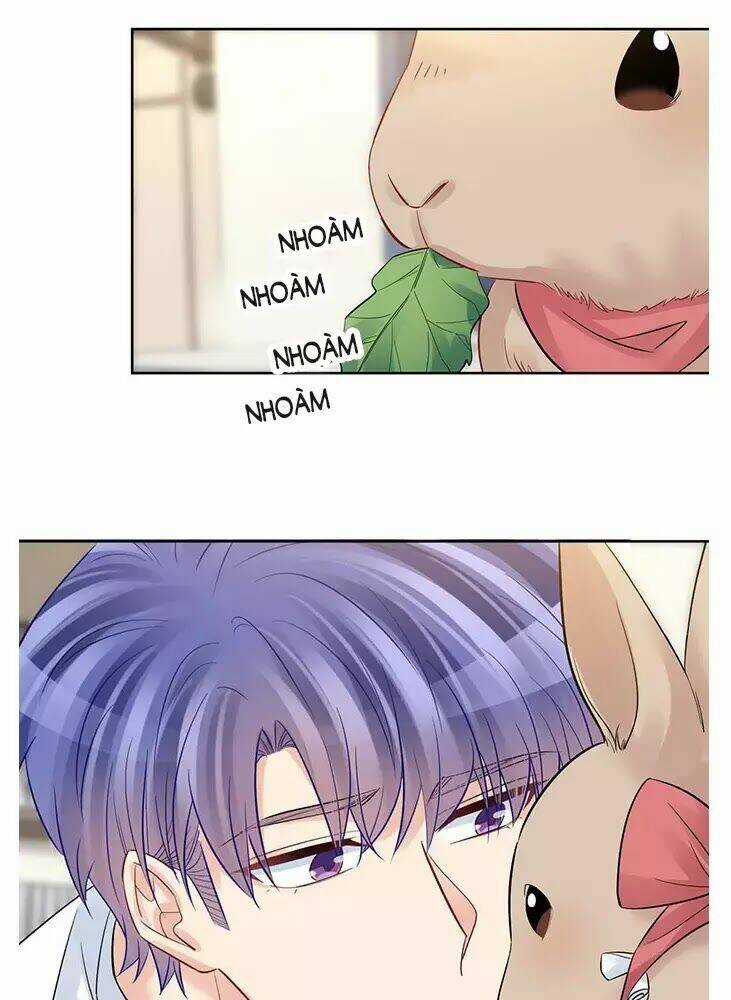 Trọng Sinh Để Ngủ Với Ảnh Đế Chapter 219 trang 16