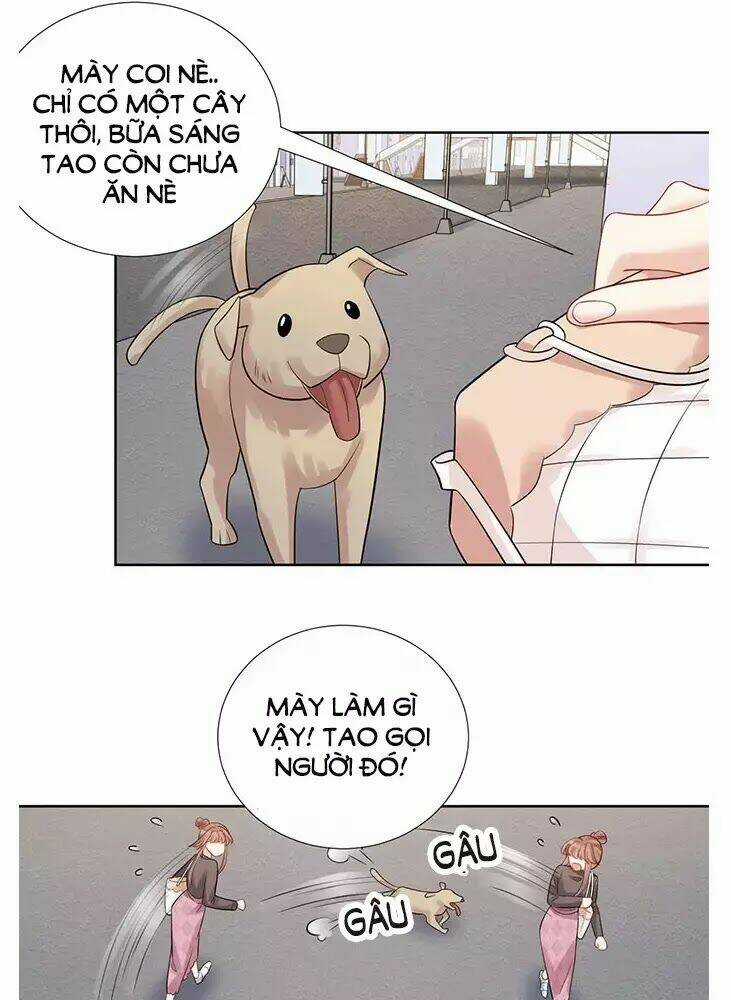 Trọng Sinh Để Ngủ Với Ảnh Đế Chapter 219 trang 43