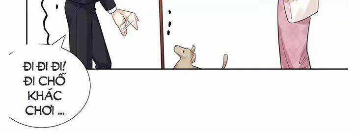 Trọng Sinh Để Ngủ Với Ảnh Đế Chapter 219 trang 52