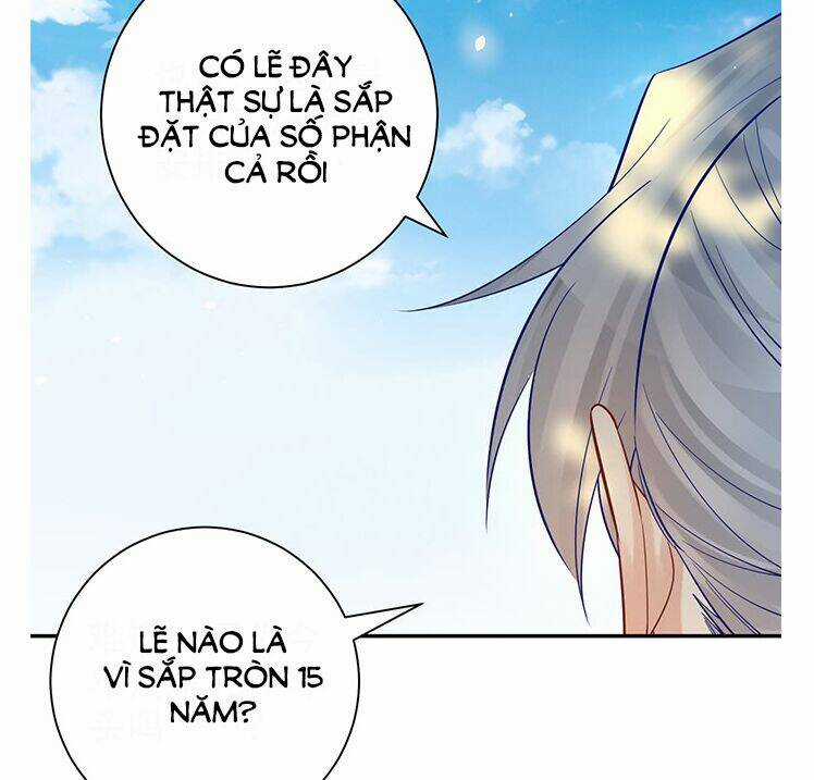 Trọng Sinh Để Ngủ Với Ảnh Đế Chapter 220 trang 8
