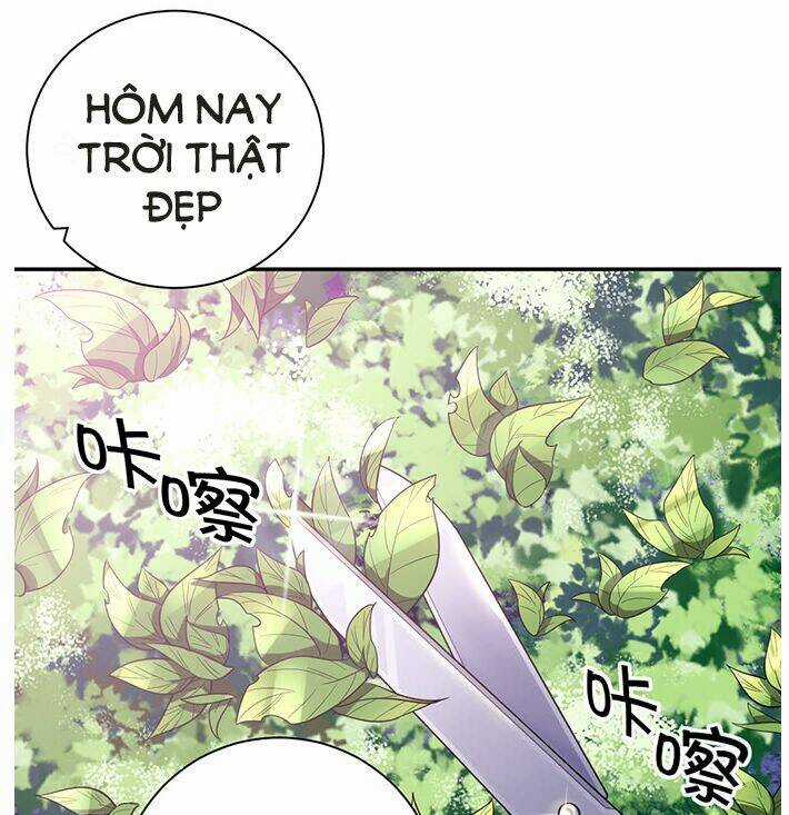 Trọng Sinh Để Ngủ Với Ảnh Đế Chapter 230 trang 2