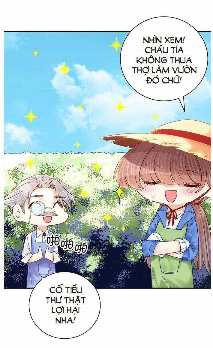 Trọng Sinh Để Ngủ Với Ảnh Đế Chapter 230 trang 5