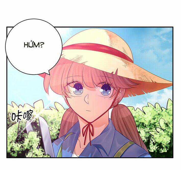 Trọng Sinh Để Ngủ Với Ảnh Đế Chapter 230 trang 9