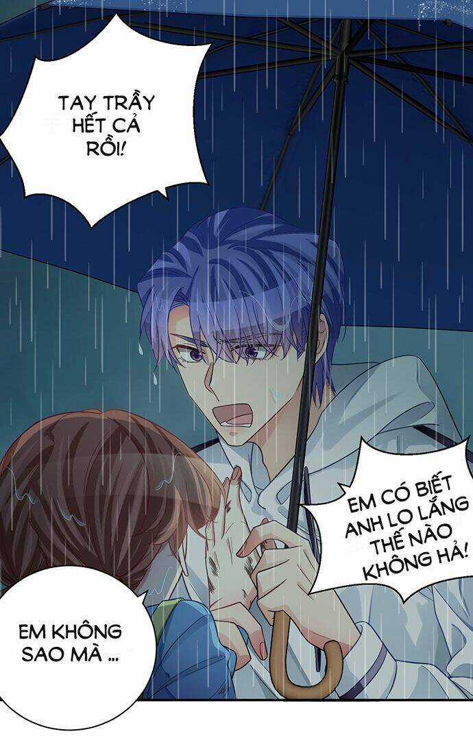 Trọng Sinh Để Ngủ Với Ảnh Đế Chapter 231 trang 3