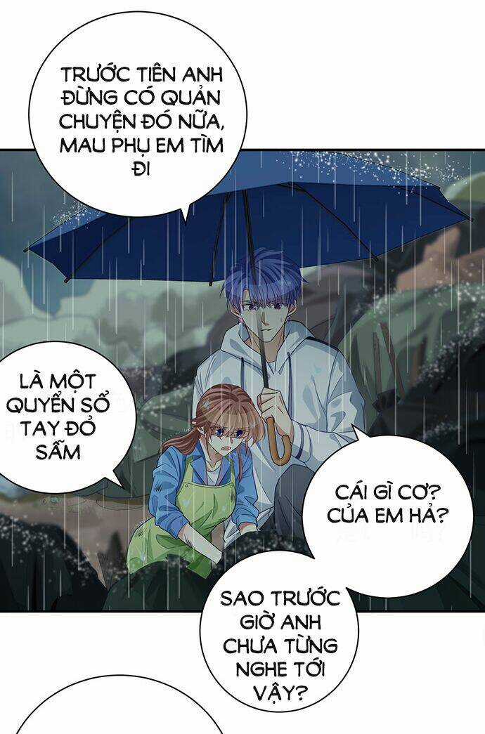 Trọng Sinh Để Ngủ Với Ảnh Đế Chapter 231 trang 4