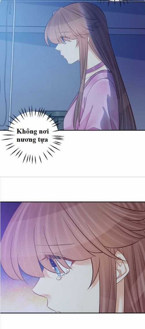 Trọng Sinh Để Ngủ Với Ảnh Đế Chapter 235 trang 22