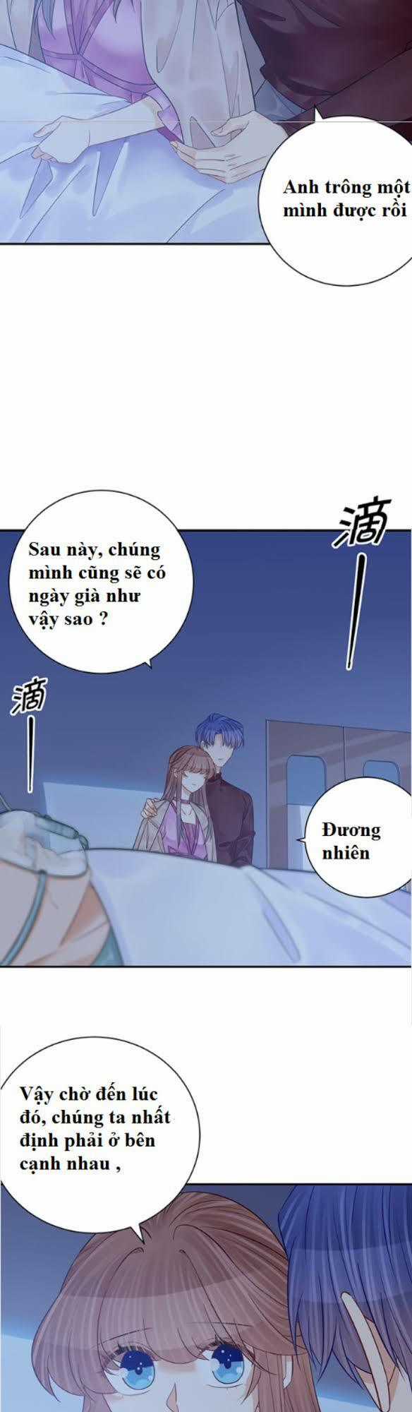 Trọng Sinh Để Ngủ Với Ảnh Đế Chapter 235 trang 24