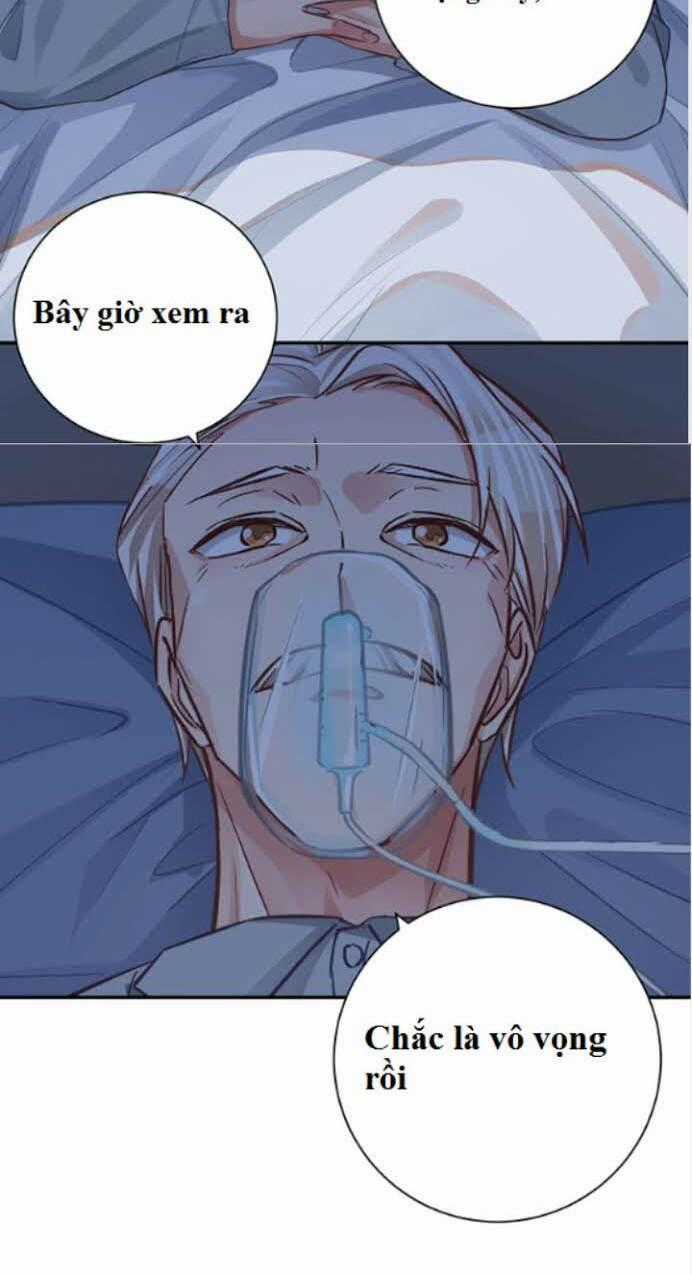 Trọng Sinh Để Ngủ Với Ảnh Đế Chapter 235 trang 29