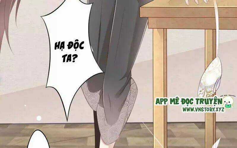 Trọng Sinh Đế Phi: Quyền Khuynh Thiên Hạ Chapter 1 trang 5