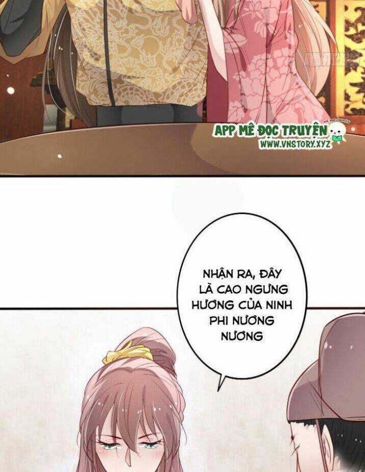 Trọng Sinh Đế Phi: Quyền Khuynh Thiên Hạ Chapter 11 trang 5