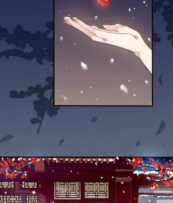 Trọng Sinh Đế Phi: Quyền Khuynh Thiên Hạ Chapter 12 trang 2