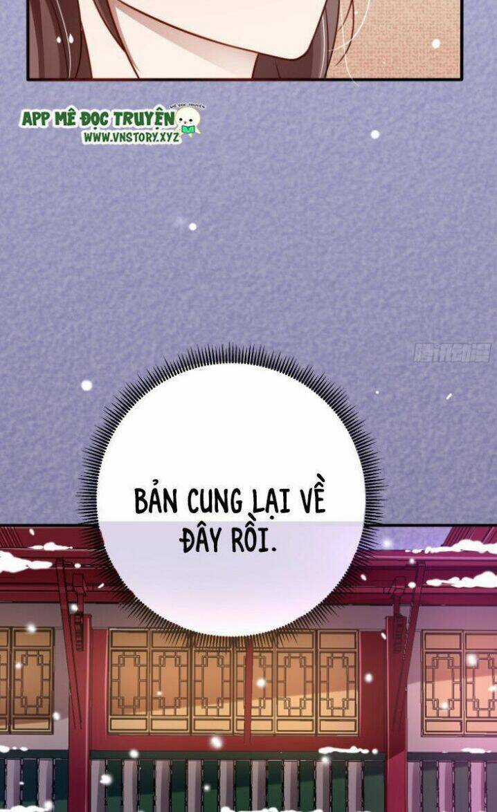 Trọng Sinh Đế Phi: Quyền Khuynh Thiên Hạ Chapter 14 trang 19