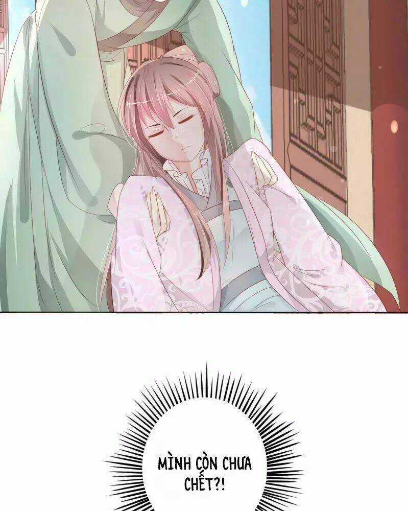 Trọng Sinh Đế Phi: Quyền Khuynh Thiên Hạ Chapter 2 trang 14