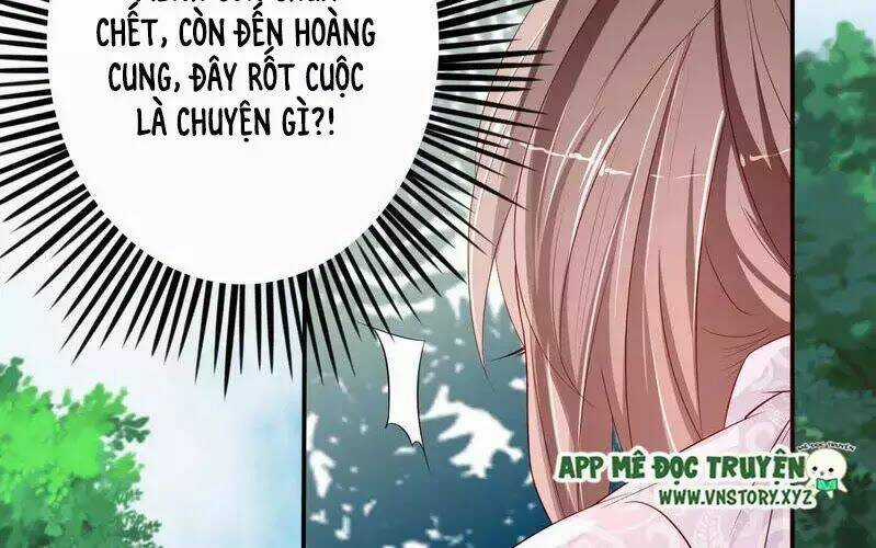 Trọng Sinh Đế Phi: Quyền Khuynh Thiên Hạ Chapter 2 trang 19