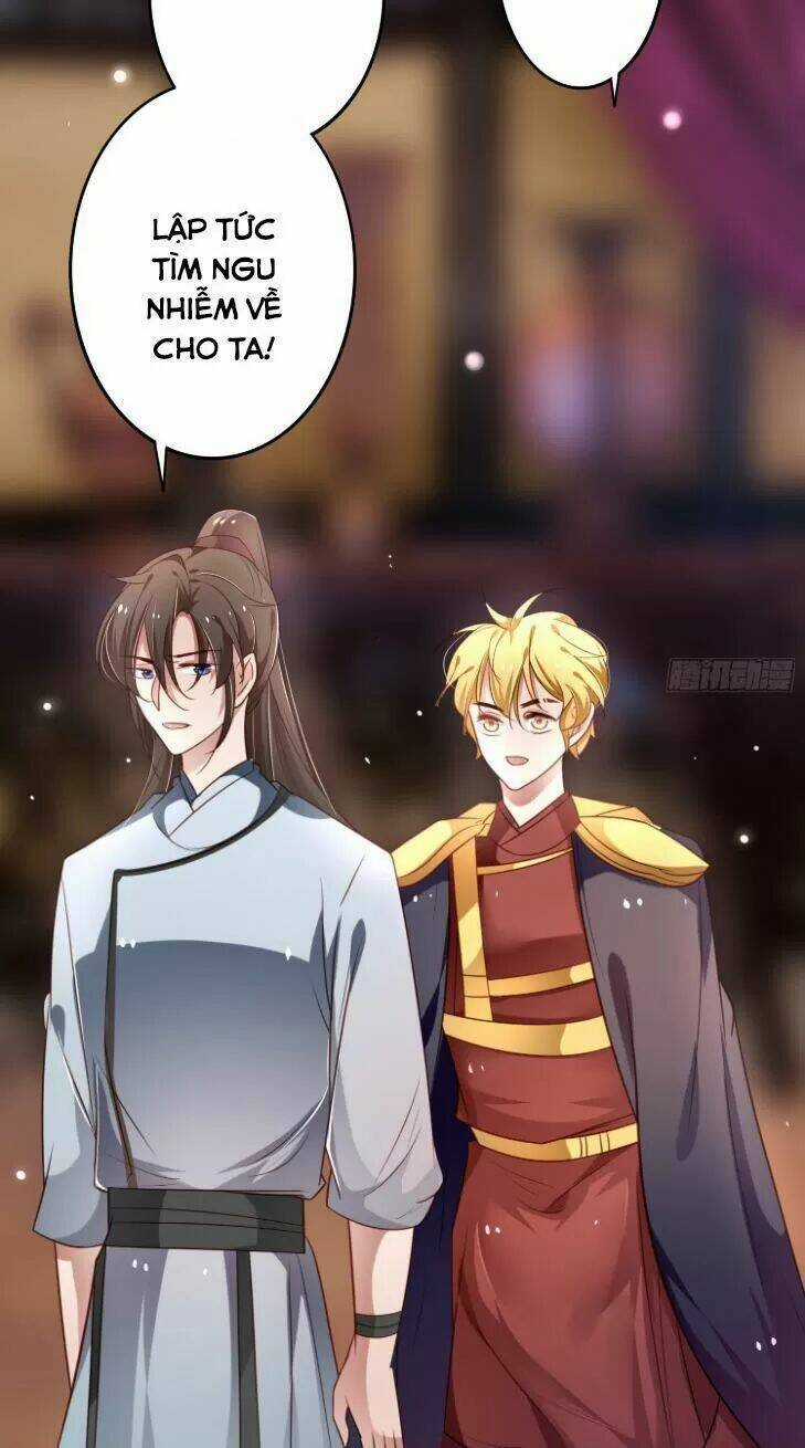 Trọng Sinh Đế Phi: Quyền Khuynh Thiên Hạ Chapter 20 trang 10