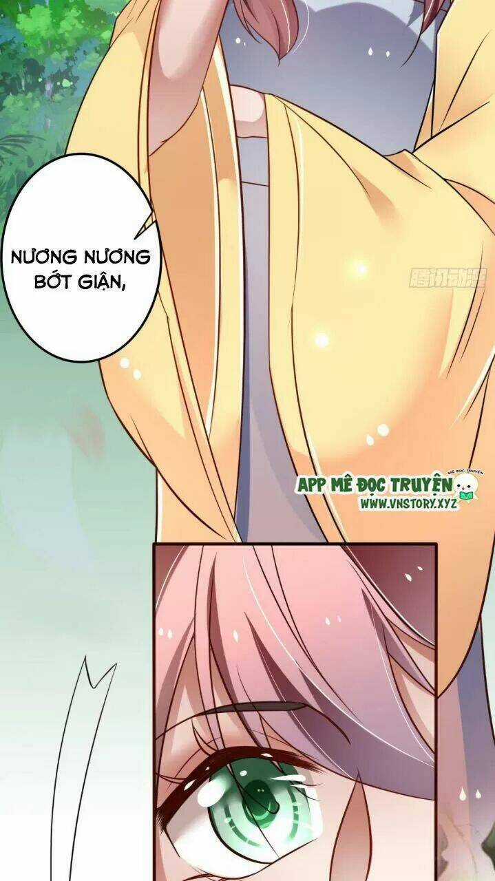 Trọng Sinh Đế Phi: Quyền Khuynh Thiên Hạ Chapter 22 trang 3