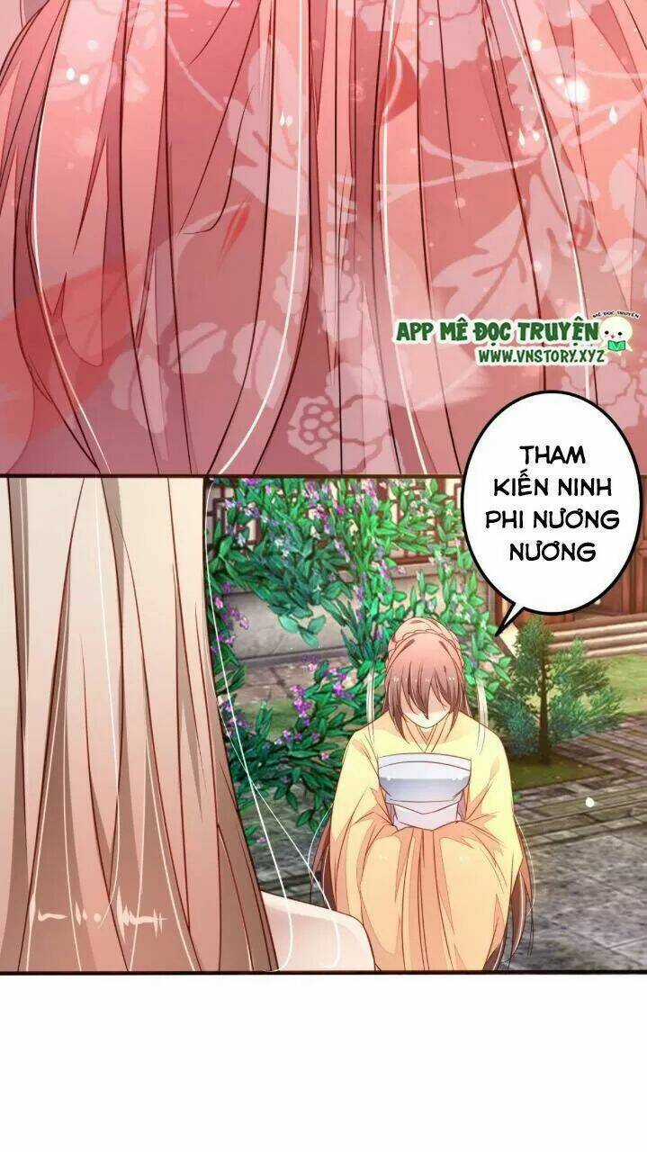 Trọng Sinh Đế Phi: Quyền Khuynh Thiên Hạ Chapter 24 trang 11