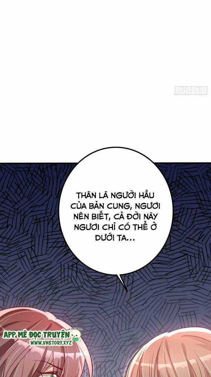 Trọng Sinh Đế Phi: Quyền Khuynh Thiên Hạ Chapter 24 trang 12