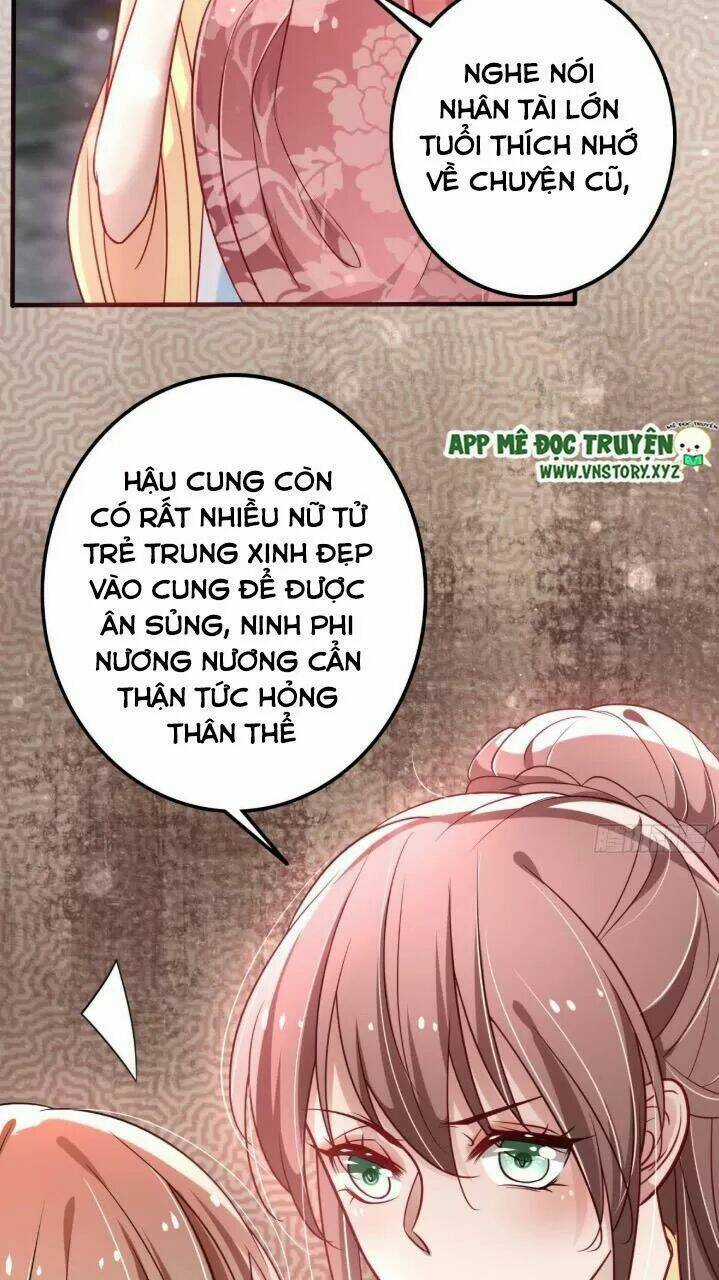 Trọng Sinh Đế Phi: Quyền Khuynh Thiên Hạ Chapter 24 trang 14