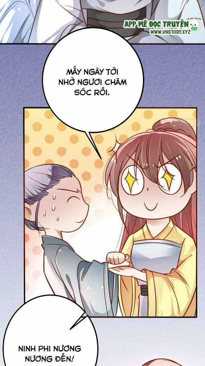 Trọng Sinh Đế Phi: Quyền Khuynh Thiên Hạ Chapter 24 trang 6