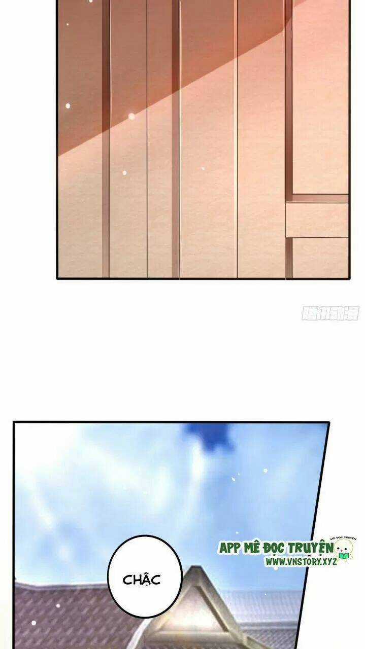 Trọng Sinh Đế Phi: Quyền Khuynh Thiên Hạ Chapter 24 trang 8