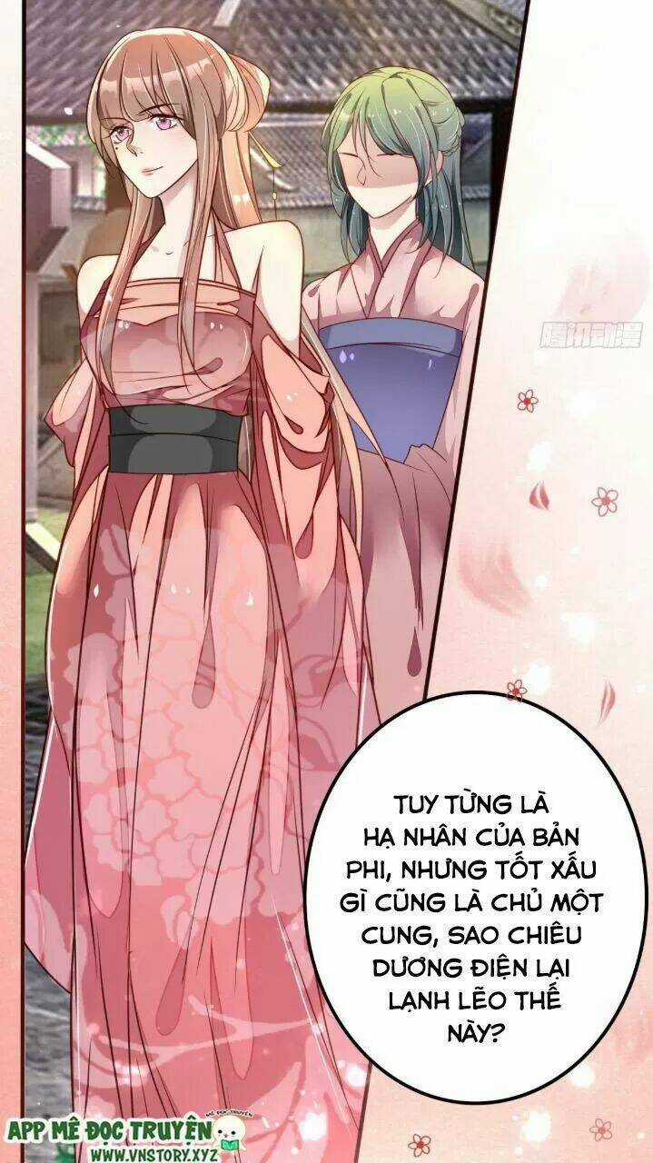 Trọng Sinh Đế Phi: Quyền Khuynh Thiên Hạ Chapter 24 trang 9