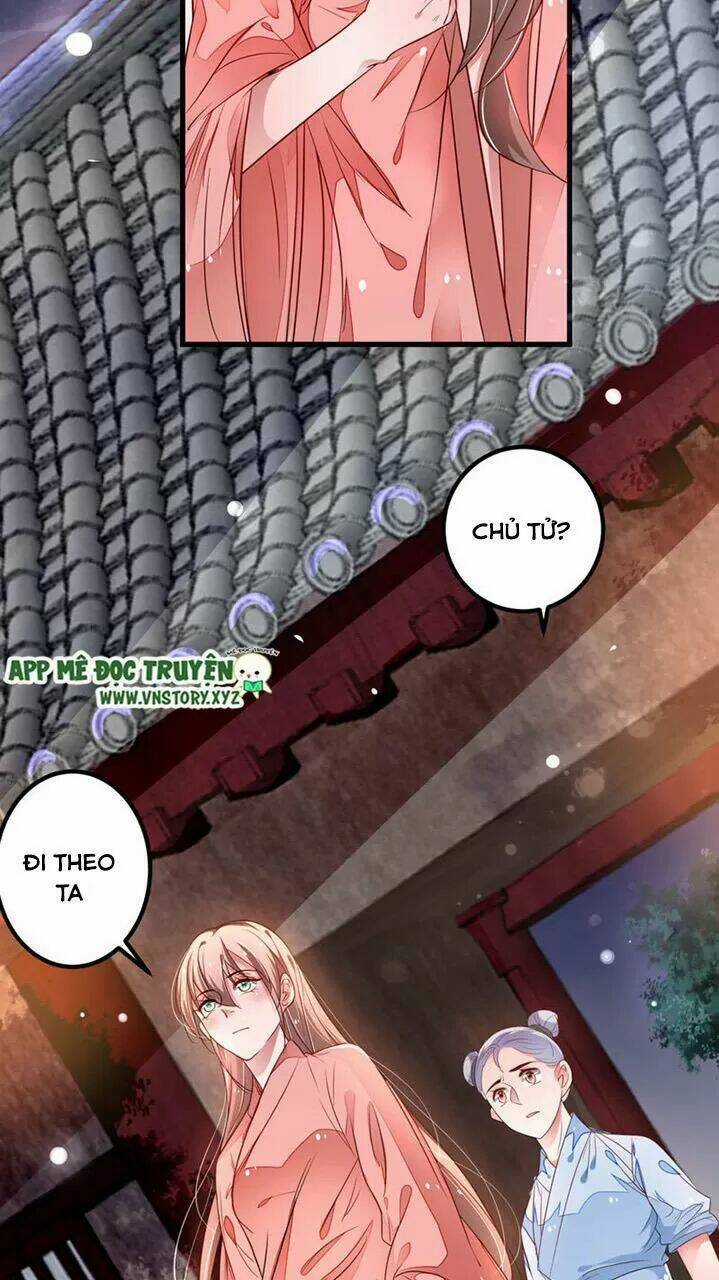 Trọng Sinh Đế Phi: Quyền Khuynh Thiên Hạ Chapter 31 trang 12