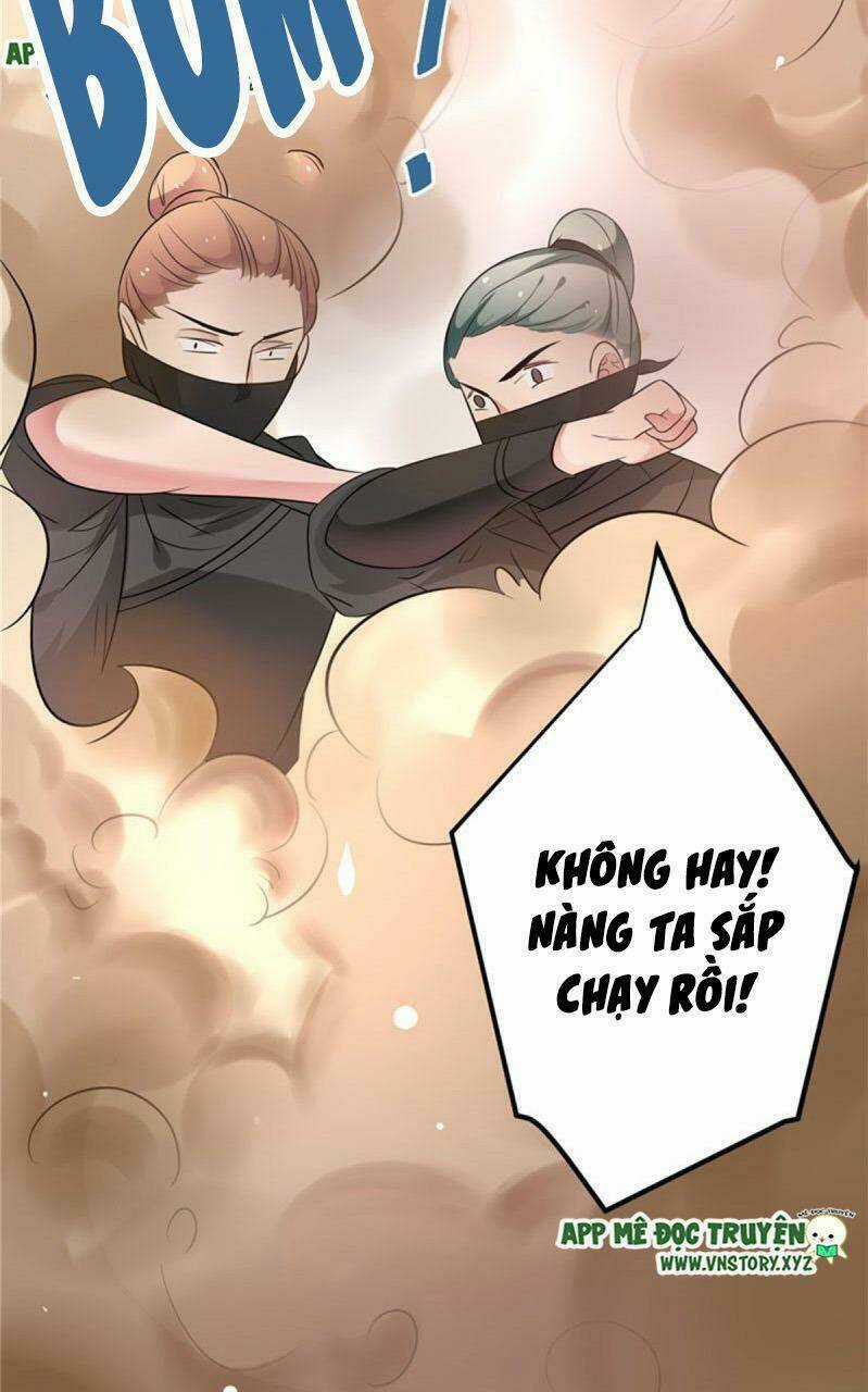 Trọng Sinh Đế Phi: Quyền Khuynh Thiên Hạ Chapter 36 trang 3