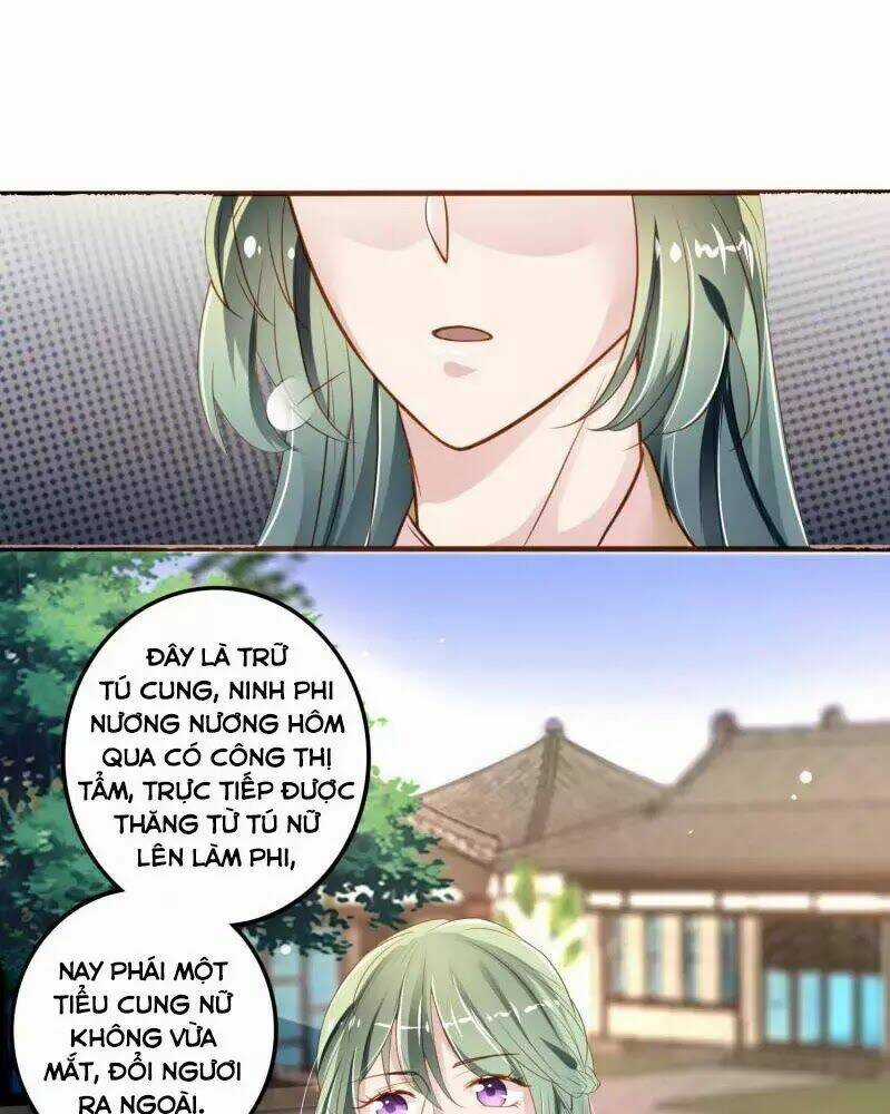 Trọng Sinh Đế Phi: Quyền Khuynh Thiên Hạ Chapter 4 trang 12