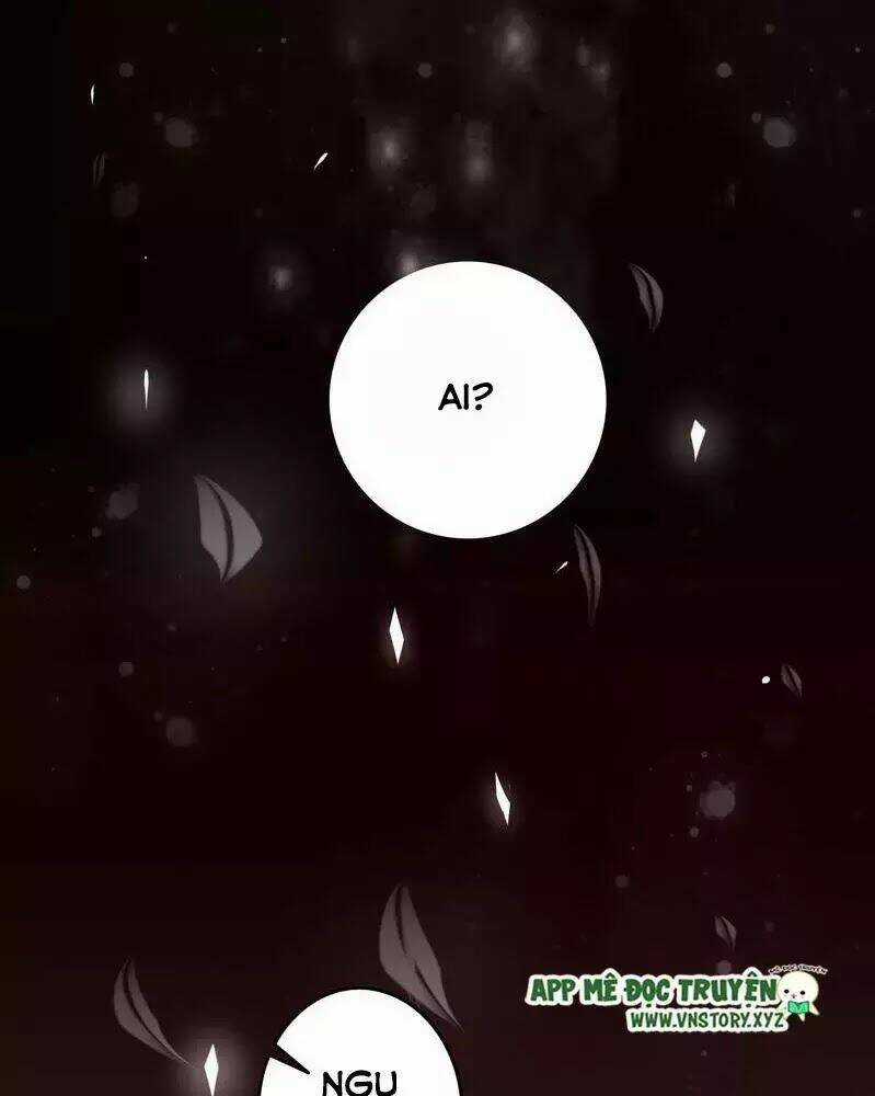 Trọng Sinh Đế Phi: Quyền Khuynh Thiên Hạ Chapter 4 trang 4