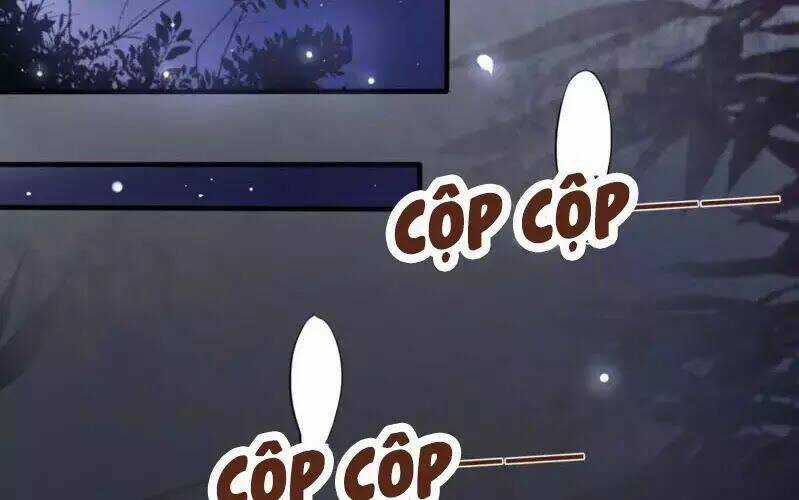 Trọng Sinh Đế Phi: Quyền Khuynh Thiên Hạ Chapter 6 trang 3