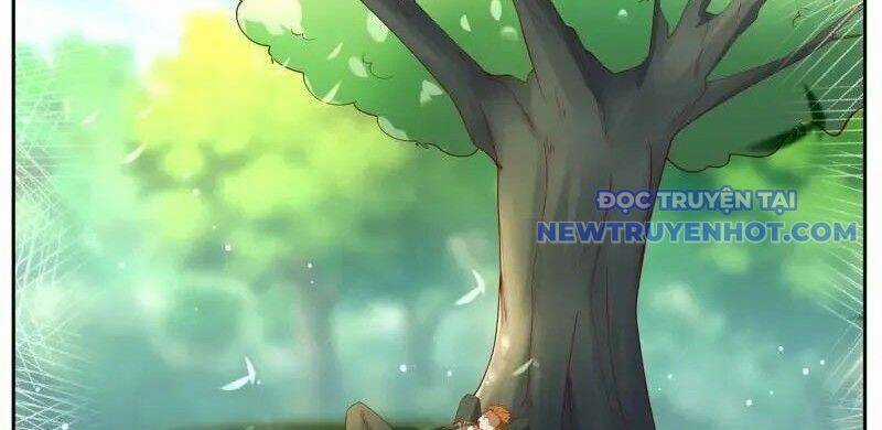 Trọng Sinh Đô Thị Tu Tiên Chương 1067 trang 26