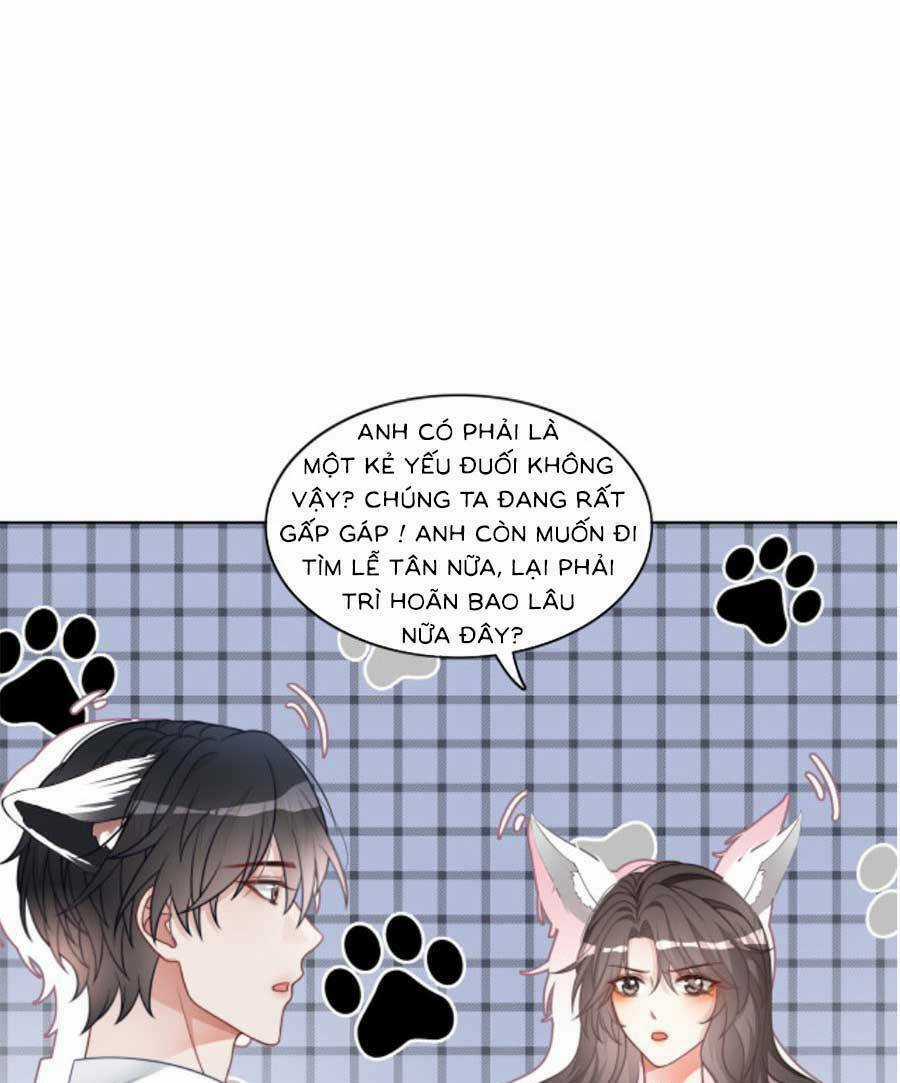 Trọng Sinh Đoàn Sủng: Phu Nhân Ảnh Đế Vừa Nghèo Vừa Dữ Chapter 19 trang 6