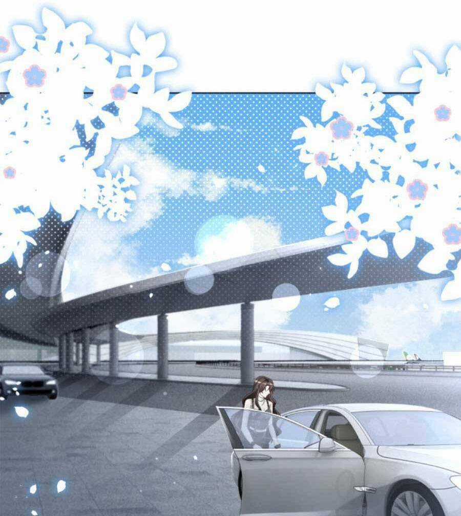 Trọng Sinh Đoàn Sủng: Phu Nhân Ảnh Đế Vừa Nghèo Vừa Dữ Chapter 24 trang 4